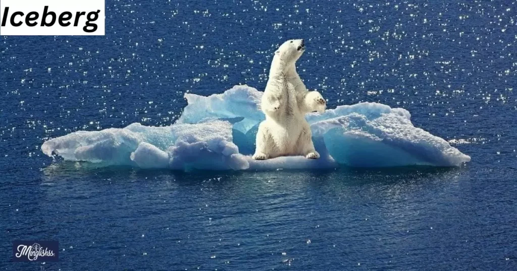 A Melting Iceberg