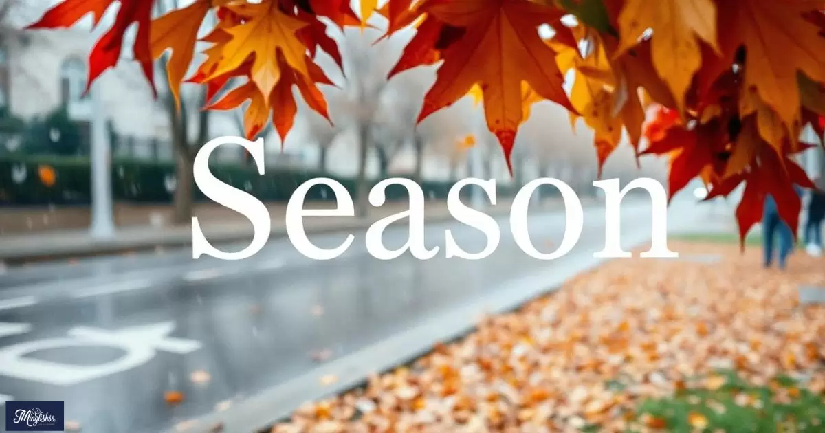 Abbreviations for "Season"