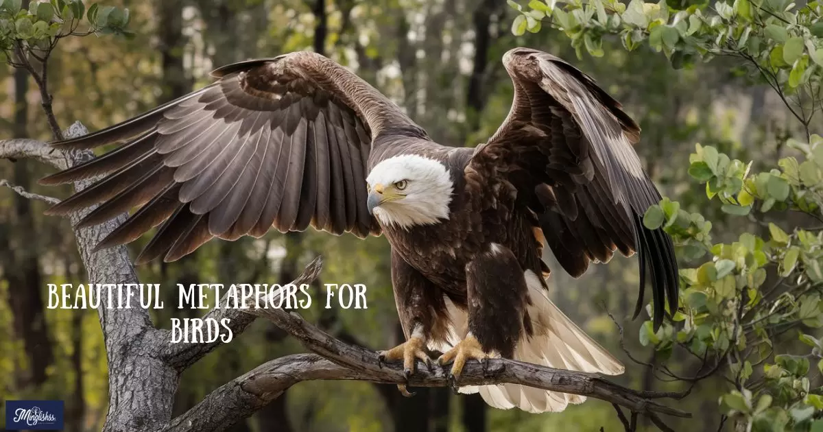 Beautiful Metaphors for Birds