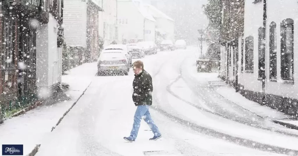 Freshly Fallen Snow